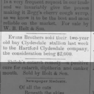 Clydesdale sale from Evan’s bros 