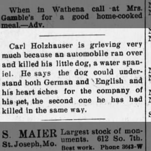 Carl Holzhausers little dog hit by car.