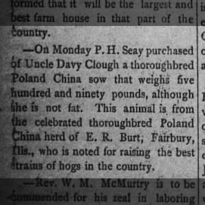 Purchase of hog from Davy clough sept 1886