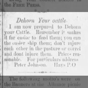 Dehorn Your cattle ad - 1890