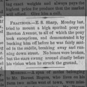 1879 E.S. Sharp horse incident on Burrton Avenue