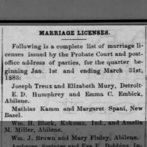 Marriage license issued to Mathias KAMM and Margaret SPANI between January 1 to March 31, 1883