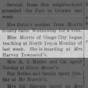 The Quenemo News )Quenemo, Kansas) Fri Sep 17 1920 page 8