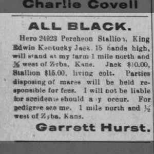 Hurst Garrett - horse sale