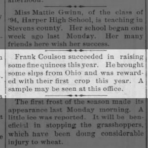 Frank Coulson raises quinces, 1894