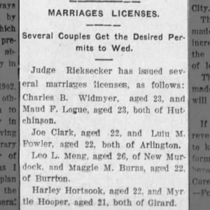 Marriage of Widmyer / Logue