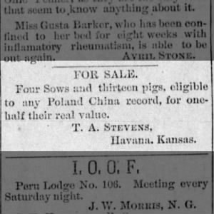 Dr. Thomas A. Stevens, MD - selling pigs advertisement.