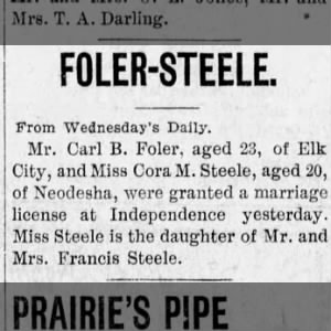 Marriage of Foler / Steele
