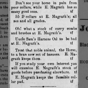 E Magrath
Weekly Gazette, Williamsburg
01 April 1881