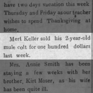 Mert Keller Sells his Mule