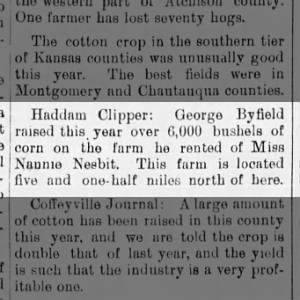 1891 corn crop