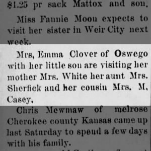 Emma Clover visiting mother, aunt and cousin. "The Pittsburg Brick" 14 Aug 1886 Pg 6