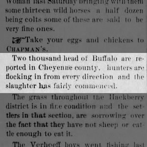 Buffalo Hunt Aug 1881