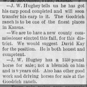 J W Hughey is stocking his carp pond and also has a horse for sale