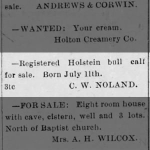 *Noland, Charles Wiley - 1919 Bull calf for sale