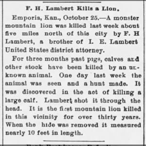 Mountain Lion 1898 10 26