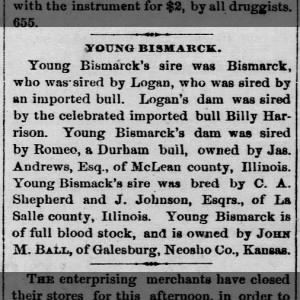 John Ball - Young Bismarck