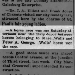 July 1895 Race Horse Peter A George