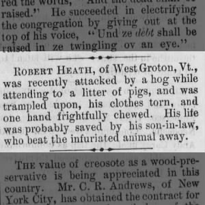 Attacked by Hog, The Gould City News, Gould, Kansas, 30 April 1880, page 6