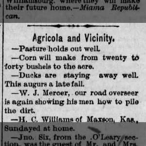 Rosemont, KS, W.J. Mercer Road Supervisor Agricola, 1887 - Negative