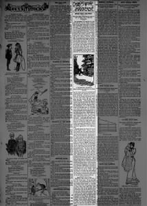 Leavenworth Bulletin
01 Jan 1899, Sun ·Page 3