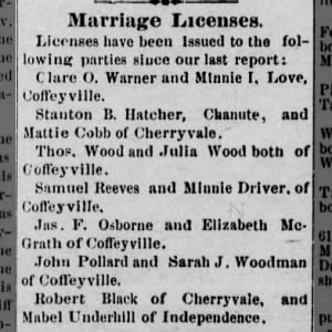 Marriage License for Osborne / McGrath