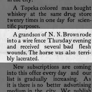 Sept 1886 -- NN Brown's grandson, horse injured running into fencce