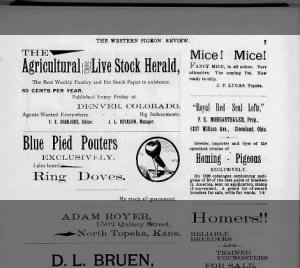 The Western Pigeon Review 01 Jan 1899 - Jesse Devalon Mgr