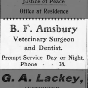 B. F. Amsbury Veterinary Surgeon and Dentist